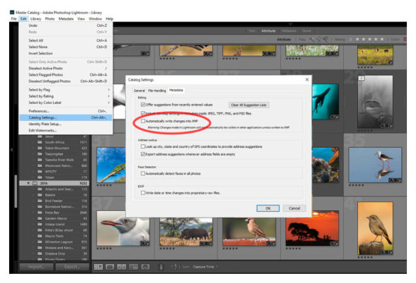 импорт xmp в lightroom