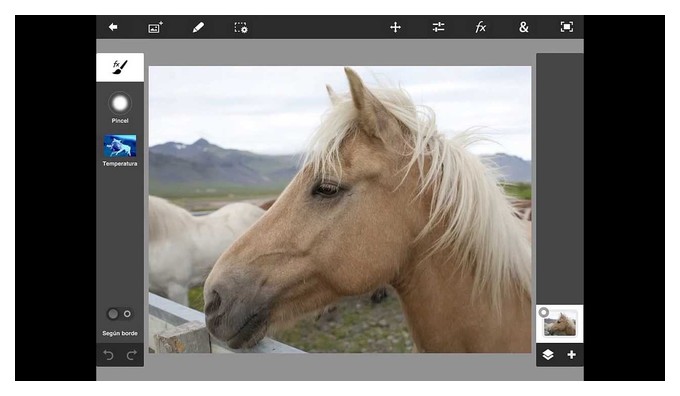 фоторедактор для чайников
