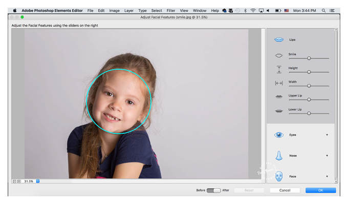 редактирование в photoshop elements