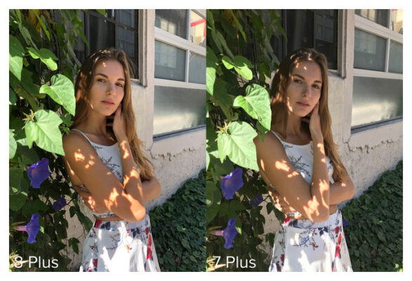 Особенности камеры iphone 8 plus