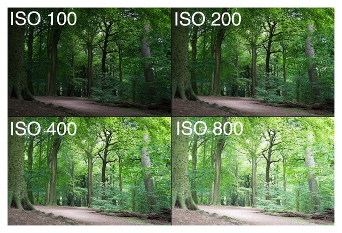 фотоаппарат, имеющий значение iso