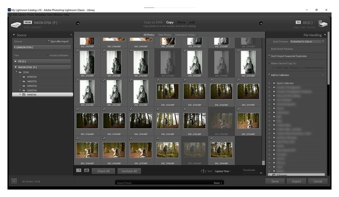 lightroom добавить в коллекцию