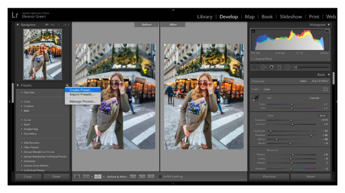 импорт пресетов lightroom classic