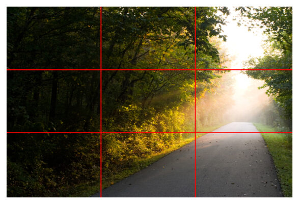 элементы композиции фотографии