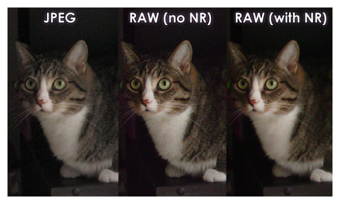 jpeg против raw