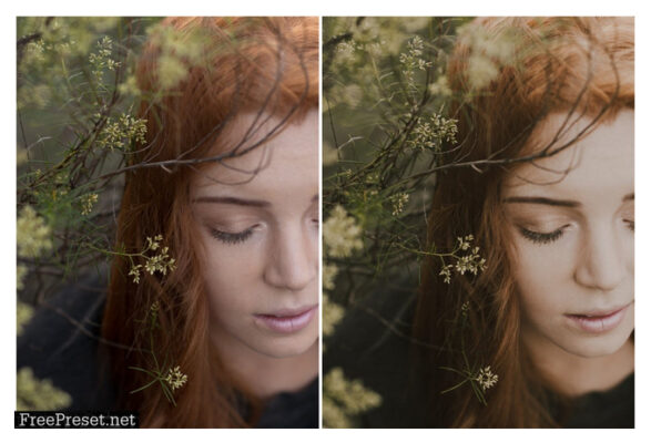 лучшие пресеты для lightroom 5