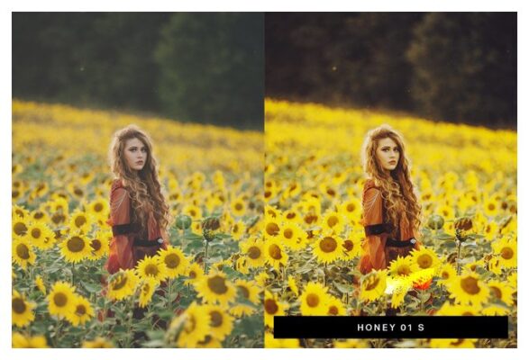настройки настроек lightroom для настроения